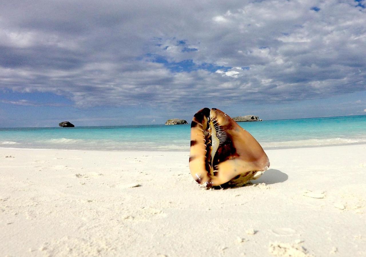 Turtles Nest Bahamas Apartman George Town Kültér fotó