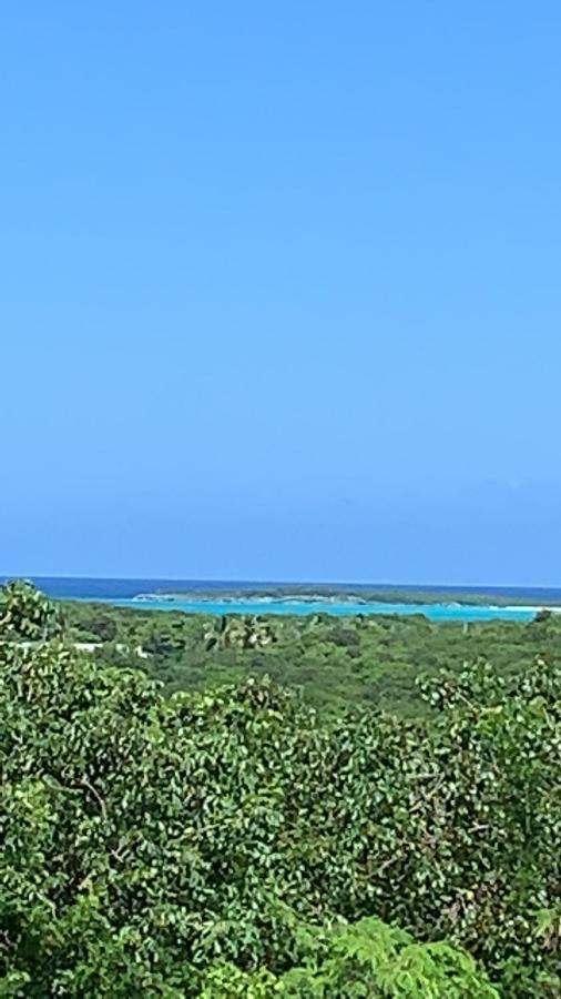 Turtles Nest Bahamas Apartman George Town Kültér fotó